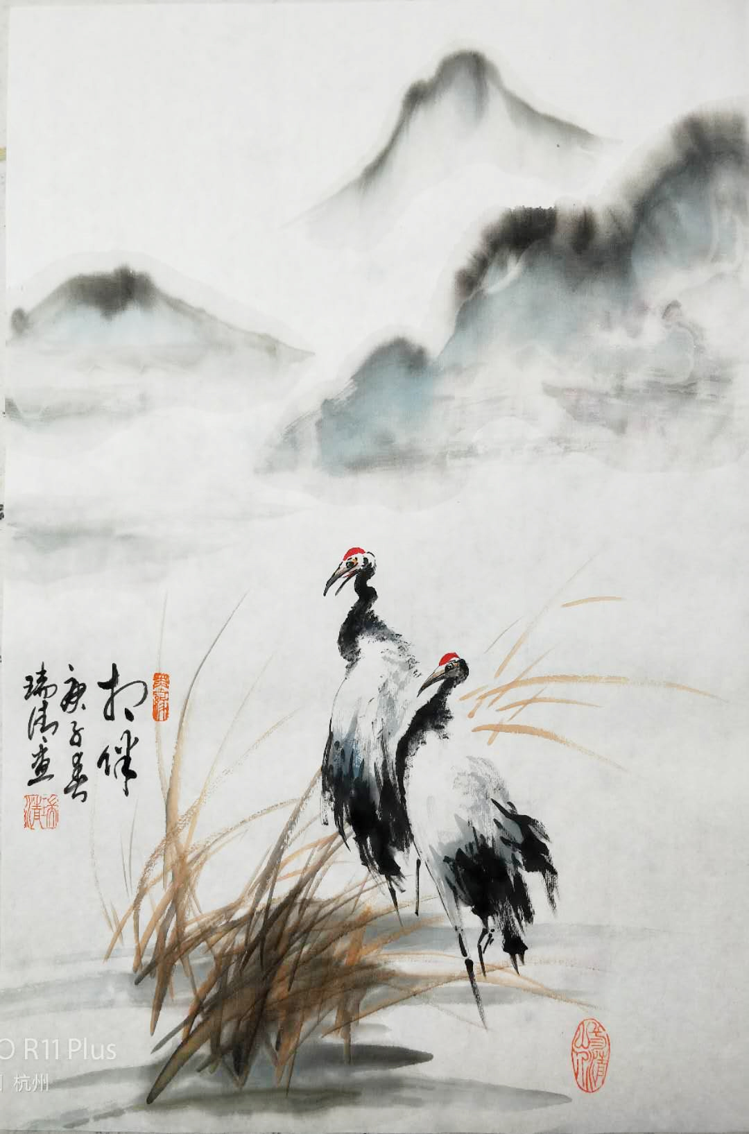 ��� ���Q���� �����괺���宋