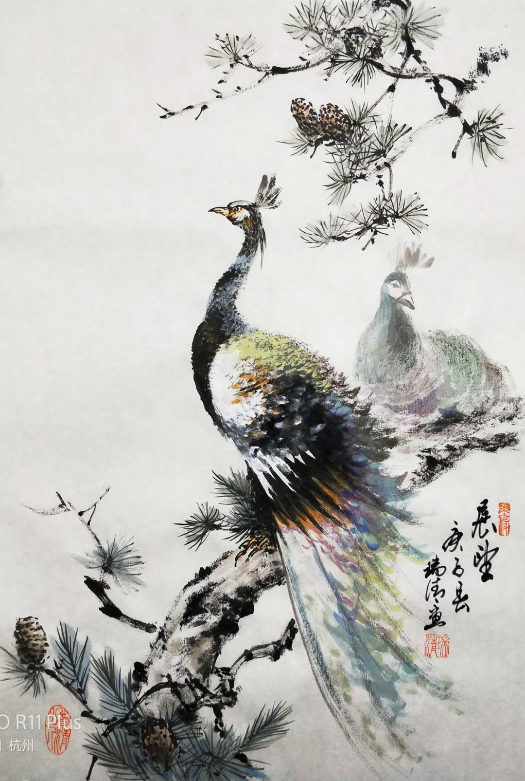 ���B�� չ�� ��ȸ���� ���Ӵ����宋