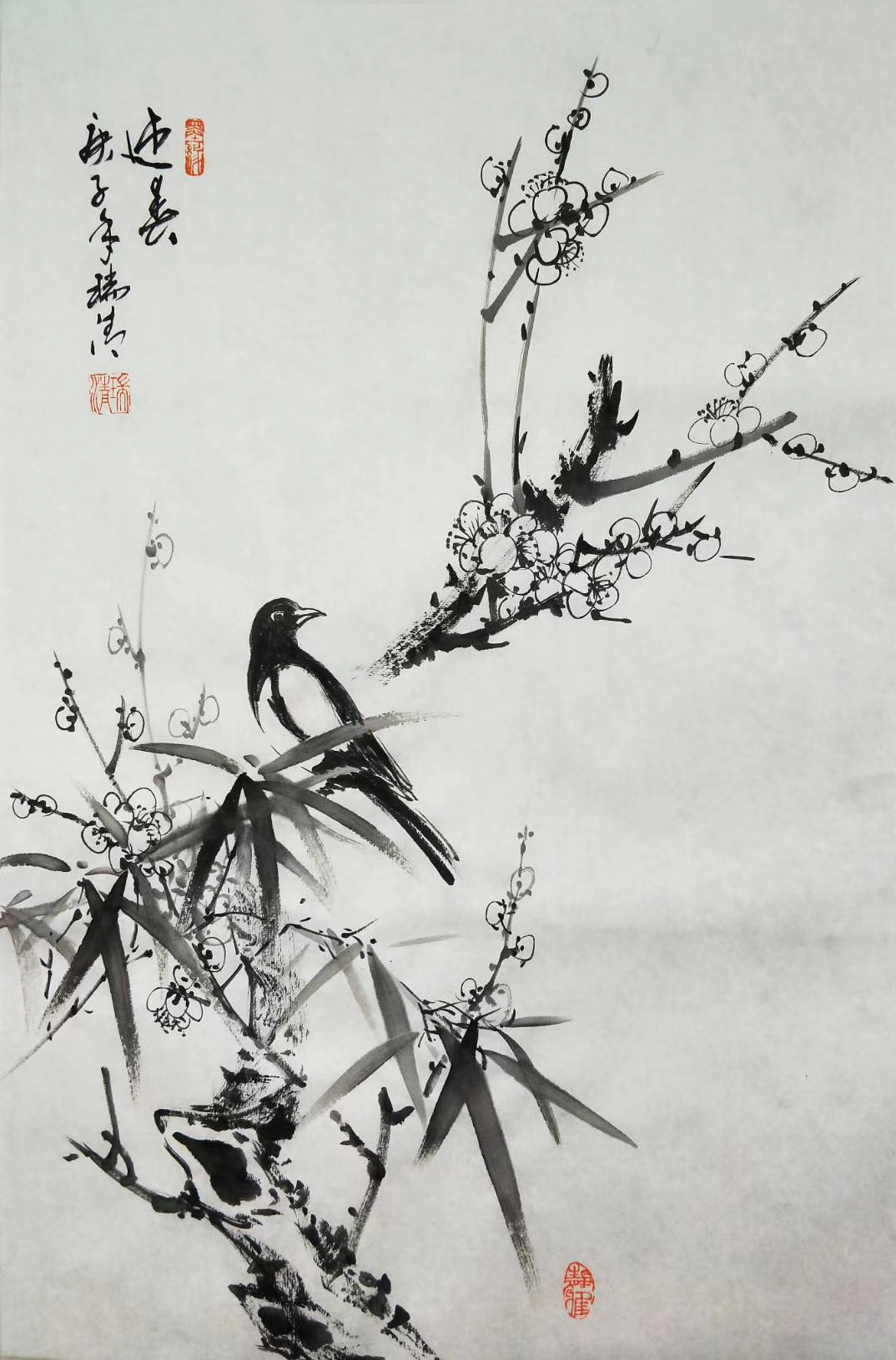 ����ˮī���B�� ӭ������ ϲ�o��ī÷ ����������