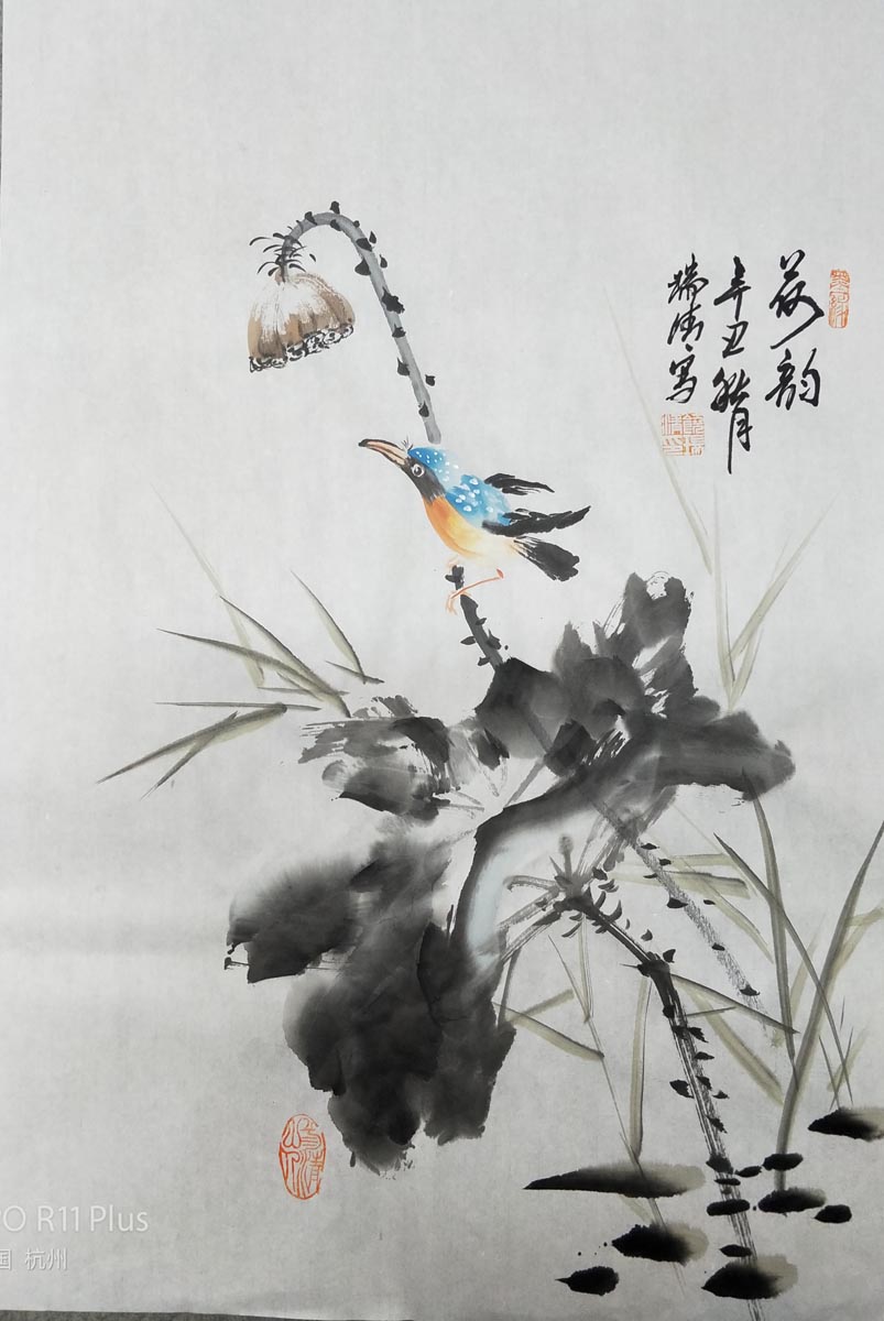 ���҇������ �������������匑