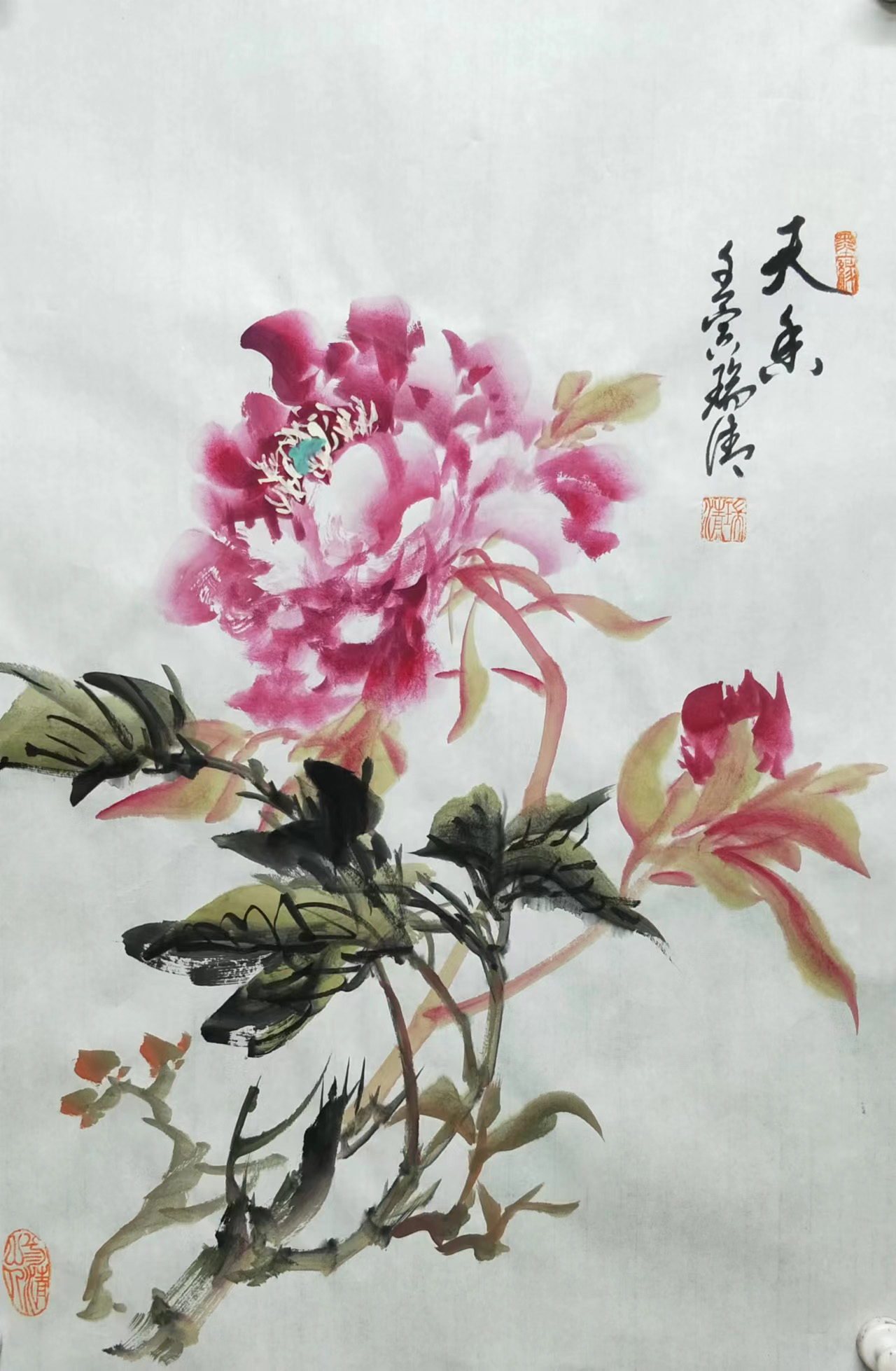 ���� ĵ������ �����ꮋ