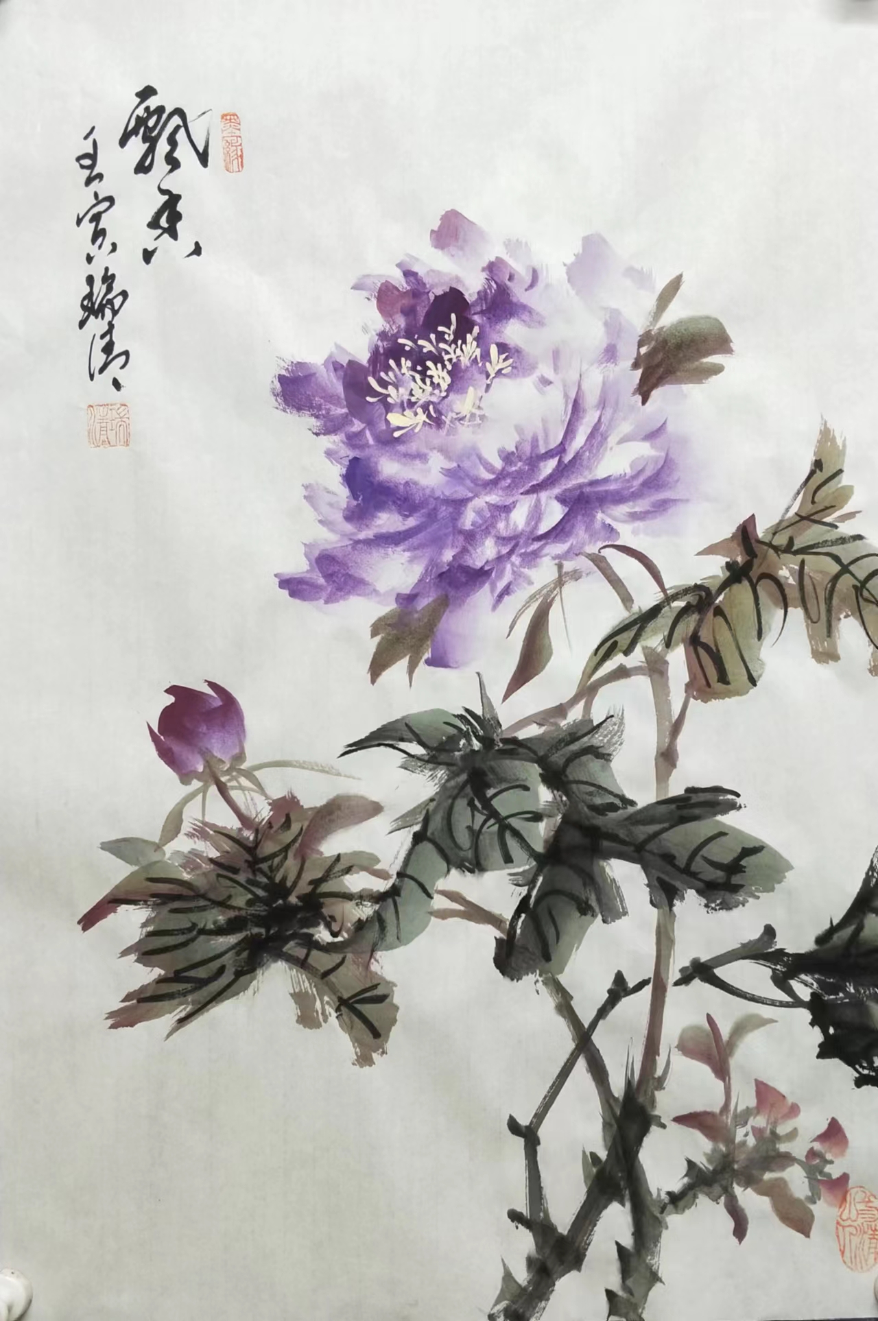 �h����� ��ɫĵ�������l��